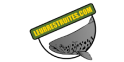 Logo leurrestruites.com